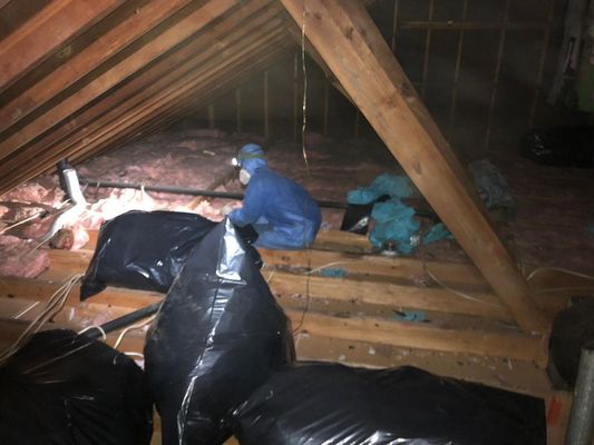 Insulation remediation cleanup, insulation removal