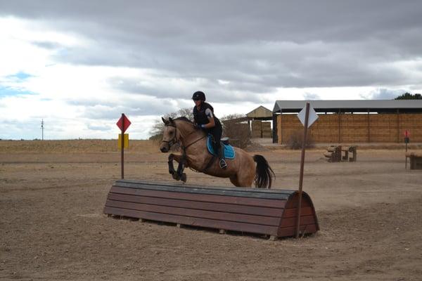 Mia, schooling Beginner Novice at Twin Rivers.