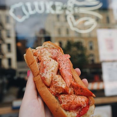 Get your cameras ready! Lobster rolls are are EXTREMELY photogenic.