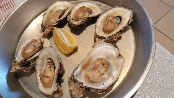 Steamed oysters....just a bit over, for us.