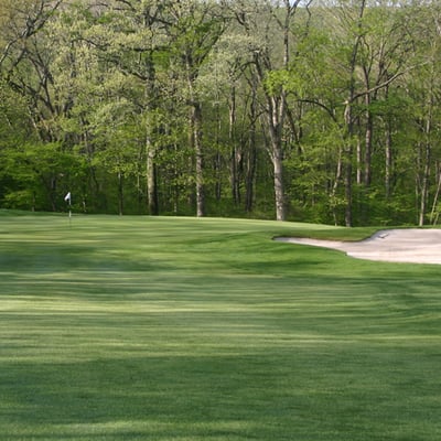 Spring scenery, 1st hole