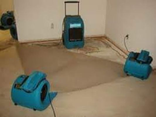 Able to save carpet!