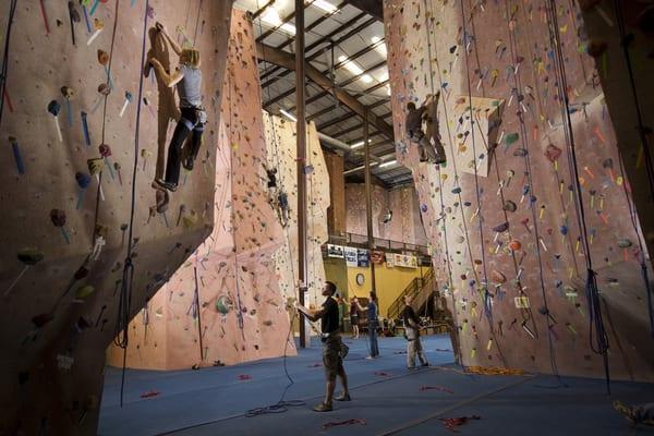 Earth Treks Timonium has over 17,000 square feet of climbing and walls up to 50' high!