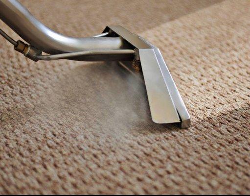 Hopkins Carpet Cleaning