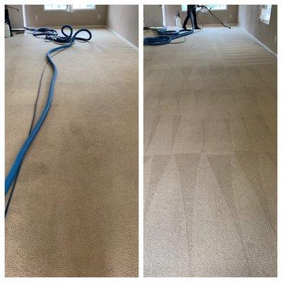 Carpet Cleaning