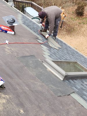 Roof and Skylight