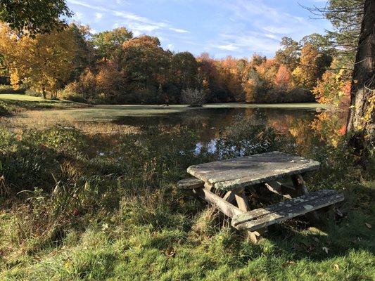 The beautiful pond in fall