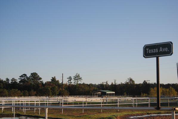 Woodlands Equestrian Club