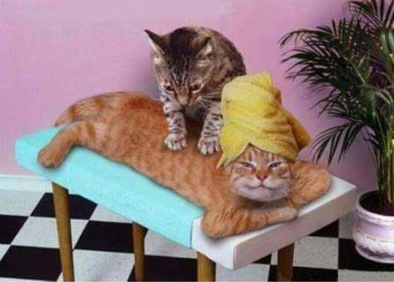 Everybody loves massage!