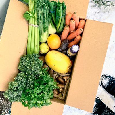 "Not only do we get amazing quality fruits and veggies, but the kids get so excited each week to pick up our box!"