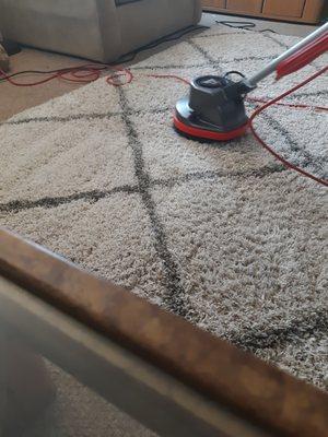 Rug Cleaning