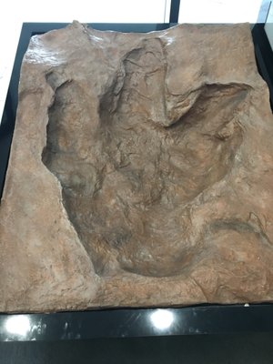 T-Rex Footprint