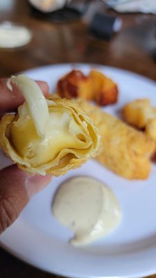 Wonton-wrapped Mozzarella Sticks