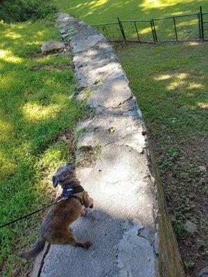 Rock wall walking.