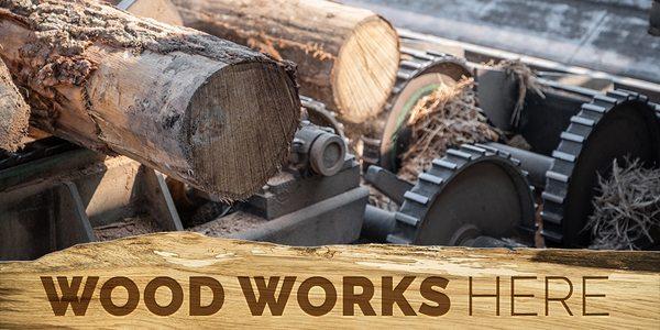 Harvesting mature trees gives small trees more light to grow. http://ow.ly/jkNX50vWDSK #woodworkshere #harvestright