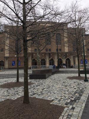 The facade through the trees on a bitterly cold, rainy day