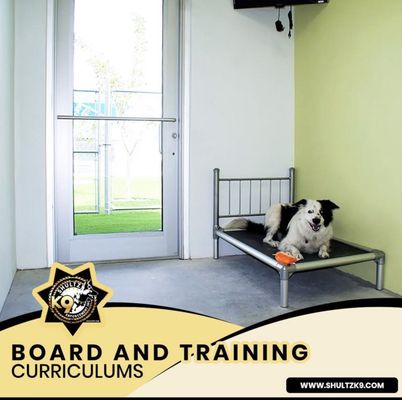 EFFECTIVE BOARDING AND TRAINING CURRICULUMS FOR ALL DOG BREEEDS