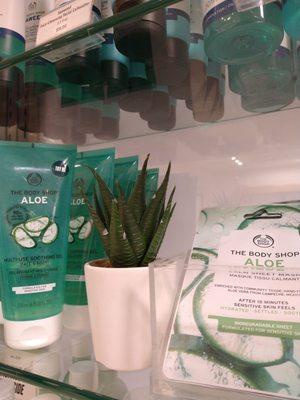 The Aloe plant (tree of life) except for my siSTAR  friend who is super allergic) The Body Shop.