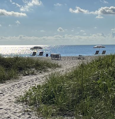 Walking Path to @Singer Island Municipal Beach