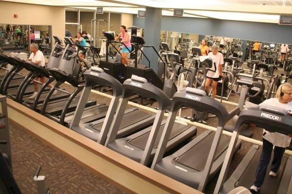 Cardio Equipment