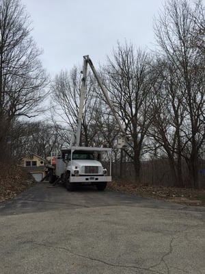 Removing disease tree