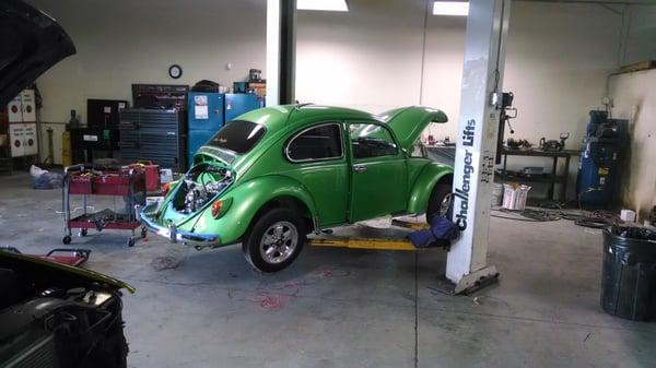 Who doesn't love a good ol' bug!