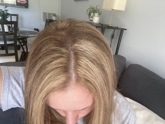 Redone highlights by the owner