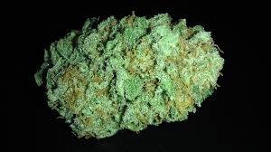 Green Goblin/ Sativa