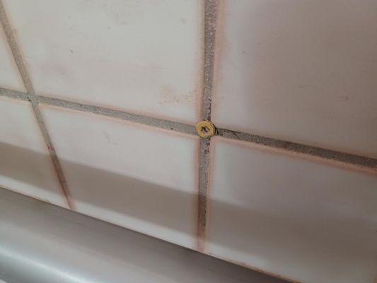 Random screw anchor left in grout