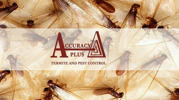 Accuracy Plus locally owned and operated for 23 years.Termite Warranty to Entire Home,Building with Accura-foam ("green" non-toxic method).