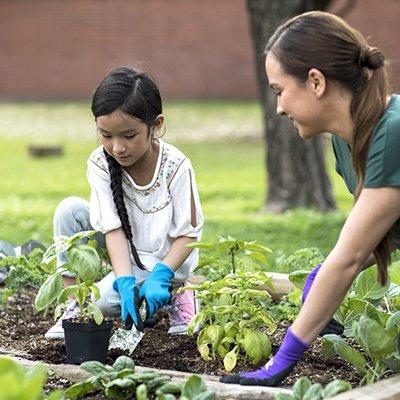 Colleyville Montessori