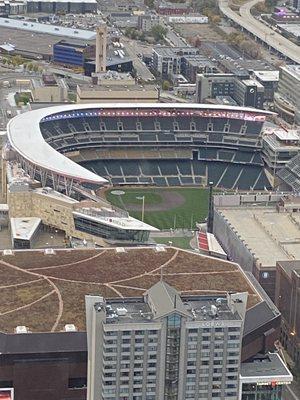 Target Field