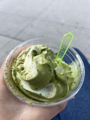 Mixed Vanilla+Matcha Ice Cream