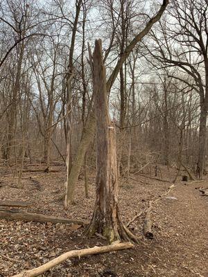 Dinosaur Hill Nature Preserve