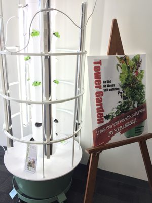 Hydroponic weed farm?  At the Library??