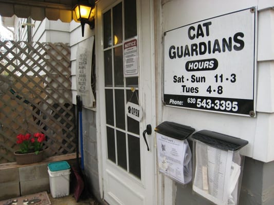 Cat Guardians