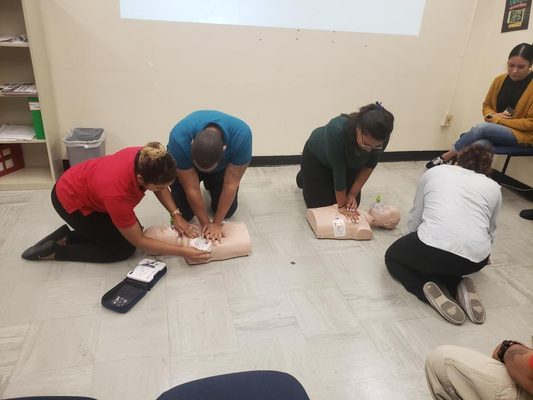 Adult CPR