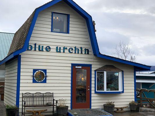 Blue Urchin on the Homer Spit