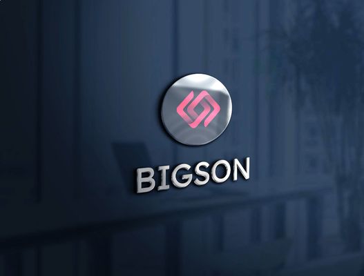 Bigson's Logo