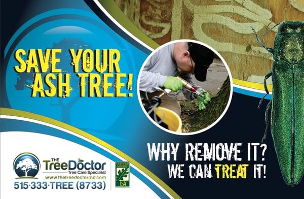 We utilize the highly effective Arborjet direct injection system to save your ash tree from the Emerald Ash Borer while limit...