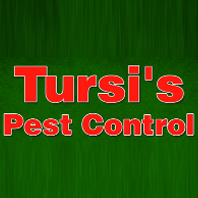 The Tursi Group