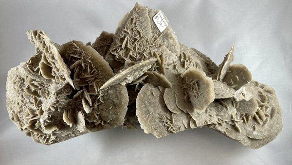 Desert Rose Selenite