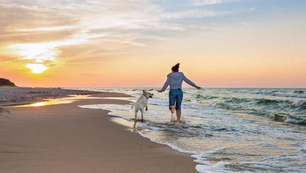 Dog Friendly Vacation Rentals