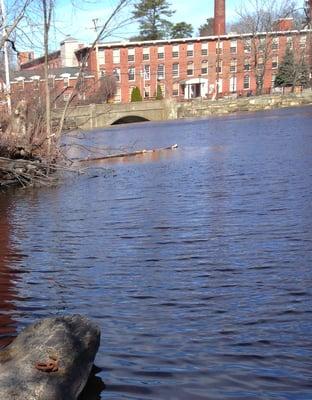 Museum is in the mill over the Concord River. The iron ring in the foreground anchored a floating tow path for horse drawn canal boats