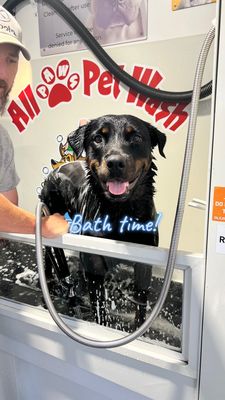 Pet wash