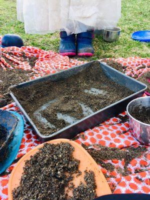 Outdoor playtime is not just another environment for play--it also provides a rich learning opportunity that benefits a child's development.