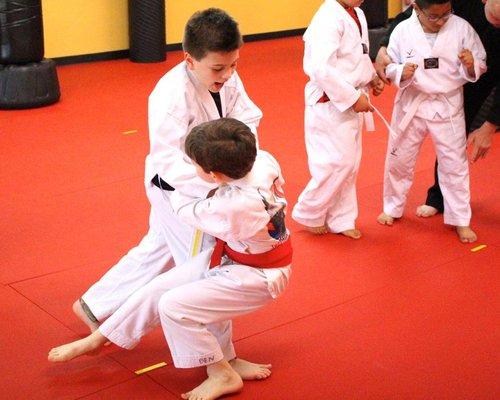 Taekwondo & Hapkido Academy