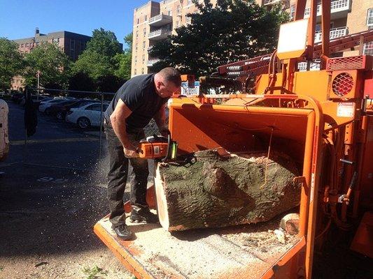 Tree pruning and tree removal is our specialty