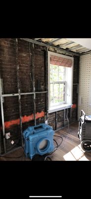 Mold Remediation