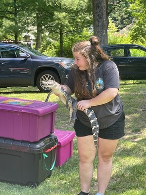 Snakes, alligators, and frogs oh my!!!